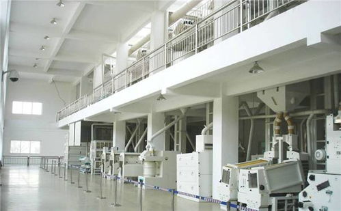 年產(chǎn)10000噸大米加工廠(chǎng)整體規(guī)劃與設(shè)備布局設(shè)計(jì)